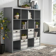 a living room with a gray bookcase filled with books, plants and potted plants