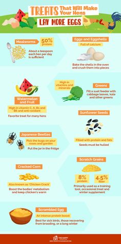 an info sheet with different types of food