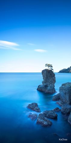 a lone tree is growing out of the rocks at the ocean's edge in this photo