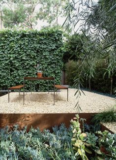 an outdoor dining table surrounded by plants and gravel in the middle of a garden area