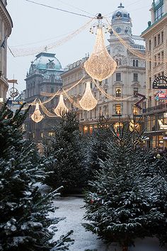 christmas trees are lined up on the street in front of buildings with lights hanging from them