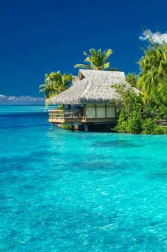 the water is crystal blue and there are palm trees in front of thatched huts