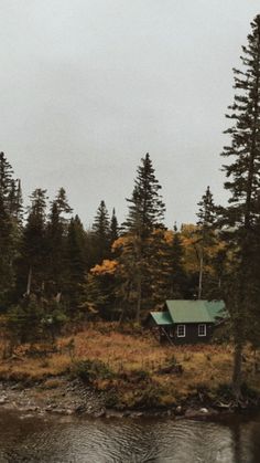 a cabin in the middle of a forest next to a river with trees around it