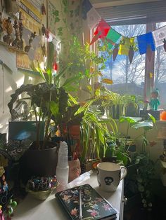 a room filled with lots of potted plants next to a window and a book