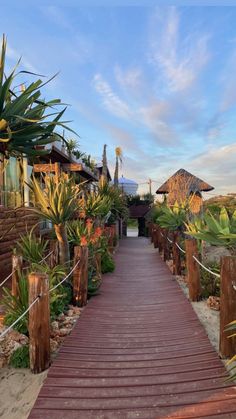 a wooden walkway leading to the beach with palm trees on both sides and houses in the background