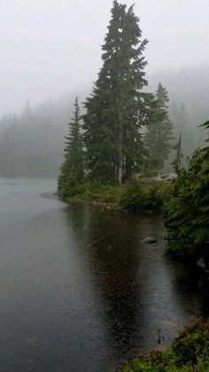 a body of water surrounded by trees on a foggy day