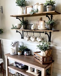 a shelf with coffee mugs and plants on it