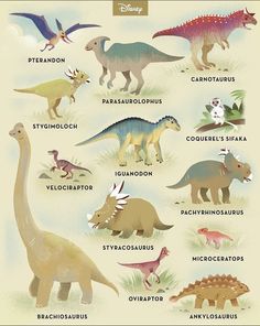 an image of dinosaurs that are in different colors and sizes, with the names on them
