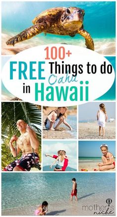 the words free things to do in hawaii with pictures of people and sea turtles