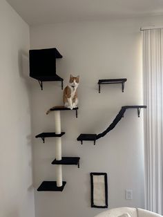 a cat sitting on top of a cat tree in a living room next to a couch