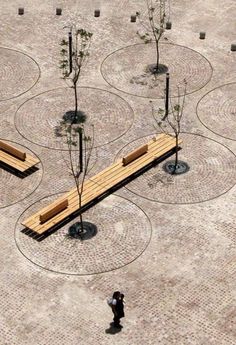 a person standing in the middle of a park with benches and trees on it's sides