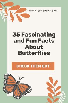 an orange butterfly with the words, fascinating and fun fact about butterflies check them out