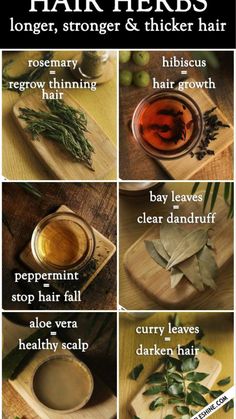 the benefits of herbs for hair and scalps are shown in this poster, which shows how