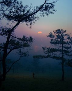 the sun is setting behind some trees on a foggy day in the distance,