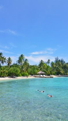 two people are in the water on their surfboards near an island with palm trees