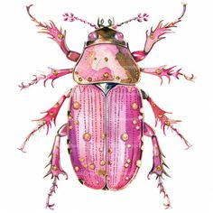 a pink and gold bug with long antennae