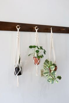 three hanging planters with plants on them