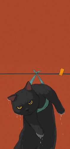 a black cat sitting on top of a wooden floor next to a red wall and an orange background