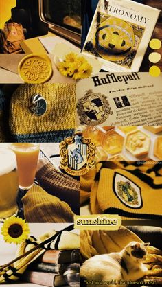 a collage of pictures with sunflowers and harry potter items