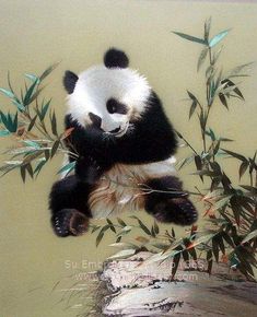 a panda bear sitting on top of a tree branch next to some bamboo leaves and branches