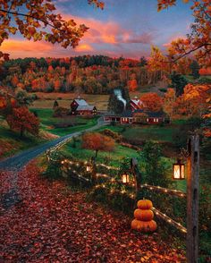 an autumn scene with pumpkins on the ground and lights in the trees around it