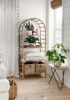 a living room filled with furniture and lots of plants on top of shelves next to a window