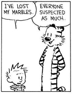 a cartoon strip with a cat and a dog talking to each other, one is saying i've lost my marbles, the other is suspect as much
