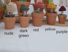 there are many small plants in pots on the table with words below them that read, dark, red, yellow, purple, and green