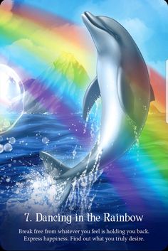 a dolphin jumping out of the water with a rainbow in the background