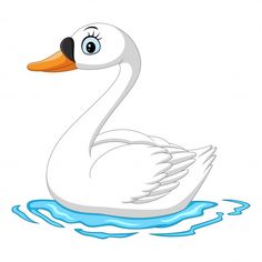 a white duck floating on top of water