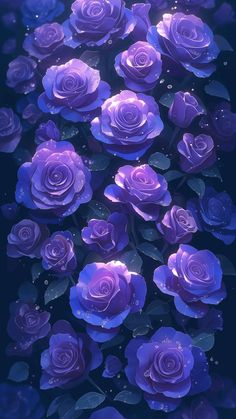 purple roses with water droplets on them are in the dark blue background, and there is no image to describe