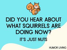 a squirrel with the words did you hear about what squirrels are doing now? it's just nuts