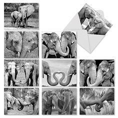 black and white photo collage with elephants