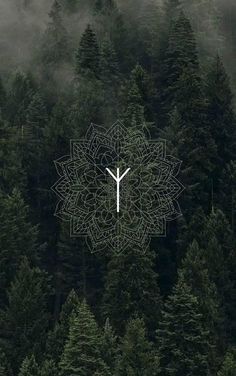 a large white clock sitting in the middle of a forest