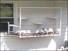 a dog laying on top of a window sill in front of a white house