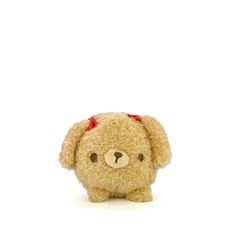 a brown teddy bear with a red bow on its head sitting in front of a white background
