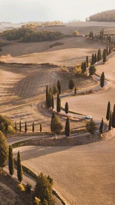 an aerial view of a winding road in the middle of a field with trees on both sides