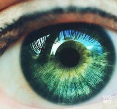 Green Eyes, Eye Reference, Aesthetic Girly, Green Eye, We Heart It, Crown, Lost, Blue