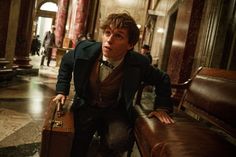 the official trailer for harry potter's upcoming movie, starring in which he appears to be