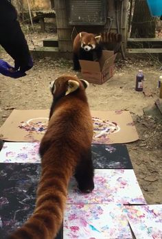 a brown bear standing on top of a table next to boxes and paintbrushes