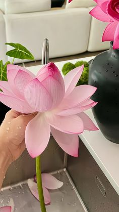 a person holding a pink flower in front of a white table with black vases