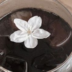 a white flower is floating in some black liquid that has been poured into the water