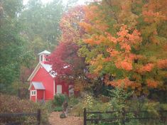 a red barn surrounded by trees with fall foliage in the foreground and a black gate leading to it