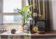 an old fashioned television sitting on top of a table next to a potted plant