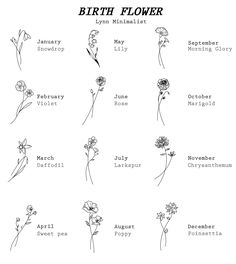 the birth flower chart is shown in black and white