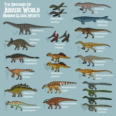 an illustrated poster with different types of dinosaurs