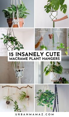 some plants hanging from the ceiling with text overlay that reads 15 insanely cute macrame plant hangers