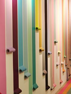 the colorful wall is lined with rolls of toilet paper