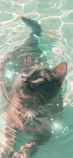 a cat is swimming in the water with its head above the water