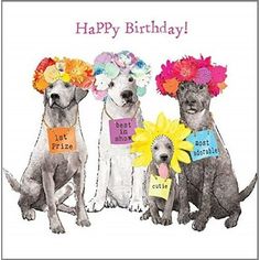 three dogs with flowers on their heads and the words happy birthday